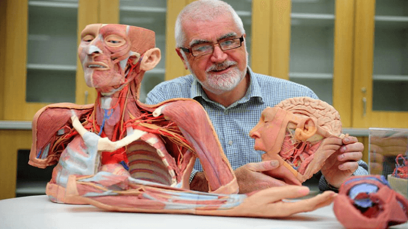3D Printed Anatomy Kits help Medical Students