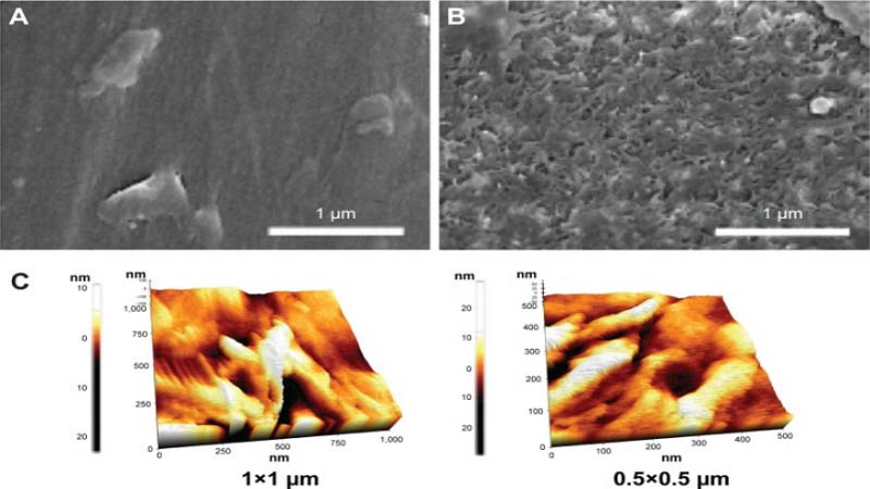 Oxford Performance Materials Inc. reveals 3D Printed PEKK to have higher anti bacterial property than PEEK