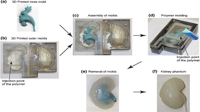 Viability Check Of Organ Phantoms Made By 3D Printing