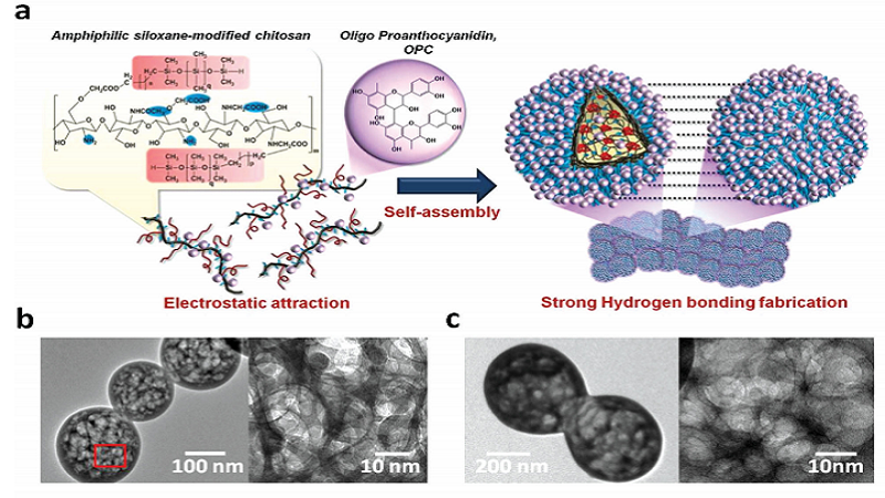 Neuronal Interface With Anti Inflammatory Ability Gets 3D Printed Using Aerosol Jet Technology