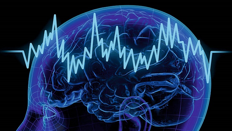 Irish Researchers Invent 3D Printer For Application In Neurophysiology