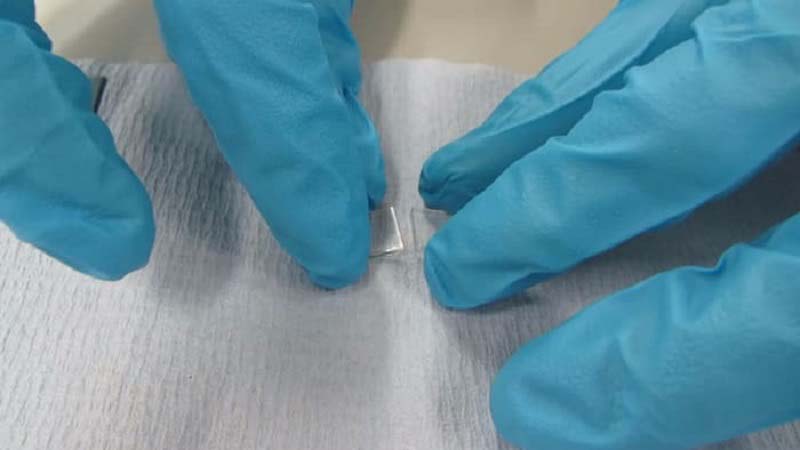 Bio Glass Cartilage that grows