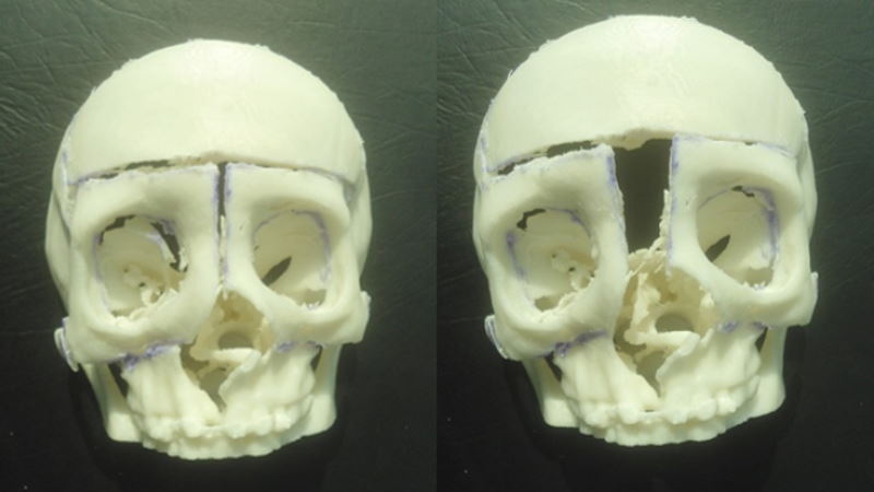 oste3d 800x450