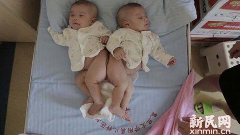 twins 800x450