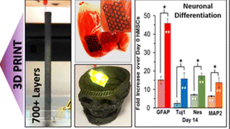 3d print graphene neurons 800x450