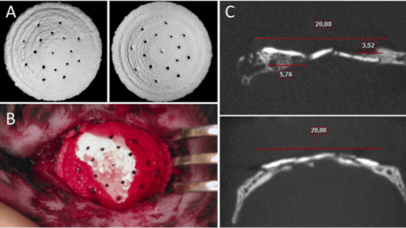 moscow bone research 800x450